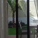 Prázdninový dům Casa Vacacional Liberty Corralejo